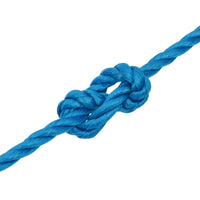 Thumbnail for Arbeitsseil Blau 20 mm 25 m Polypropylen