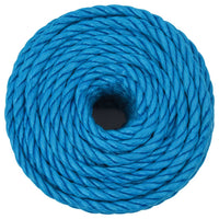 Thumbnail for Arbeitsseil Blau 20 mm 100 m Polypropylen