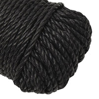 Thumbnail for Arbeitsseil Schwarz 6 mm 250 m Polypropylen
