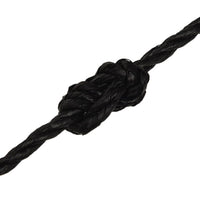 Thumbnail for Arbeitsseil Schwarz 6 mm 250 m Polypropylen