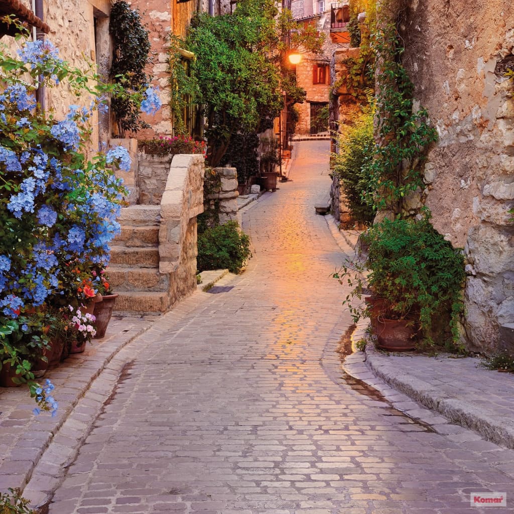 Komar Wand-Fototapete Vicolo 368×248 cm