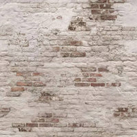 Thumbnail for DUTCH WALLCOVERINGS Fototapete Old Brick Wall Beige and Braun