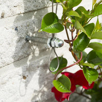 Thumbnail for Nature Rankseilsystem für Kletterpflanzen 6040760