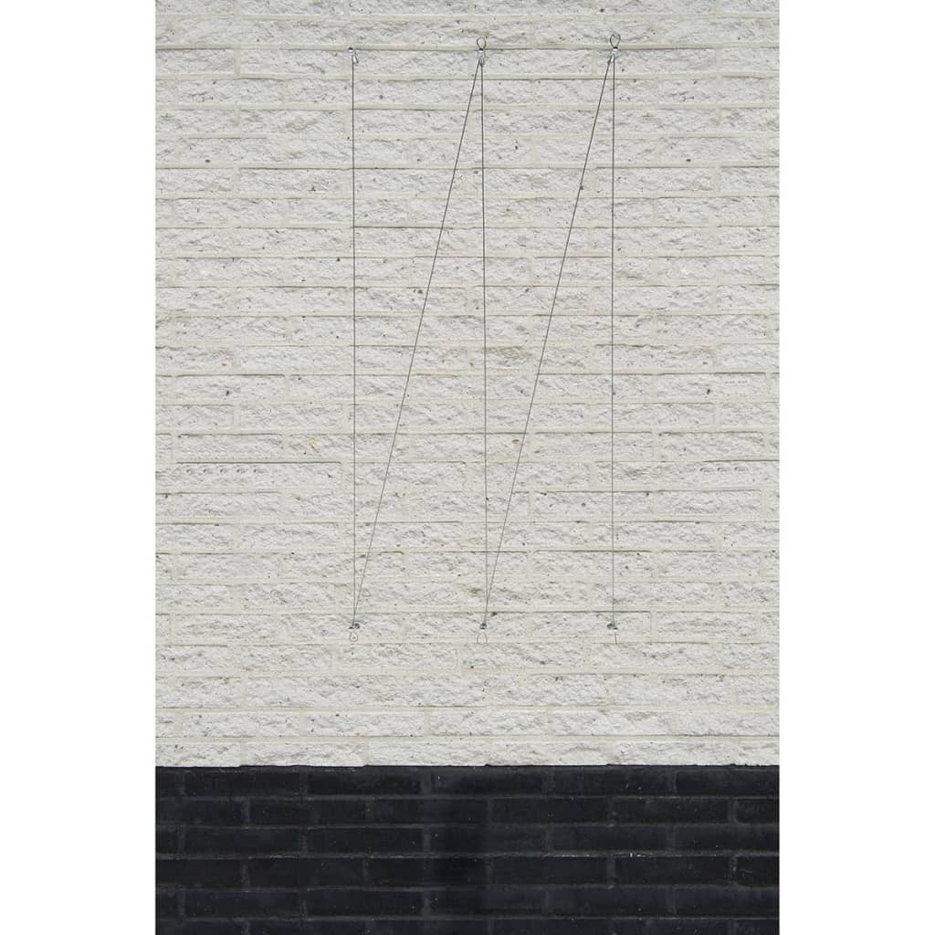 Nature Rankseilsystem für Kletterpflanzen 6040760