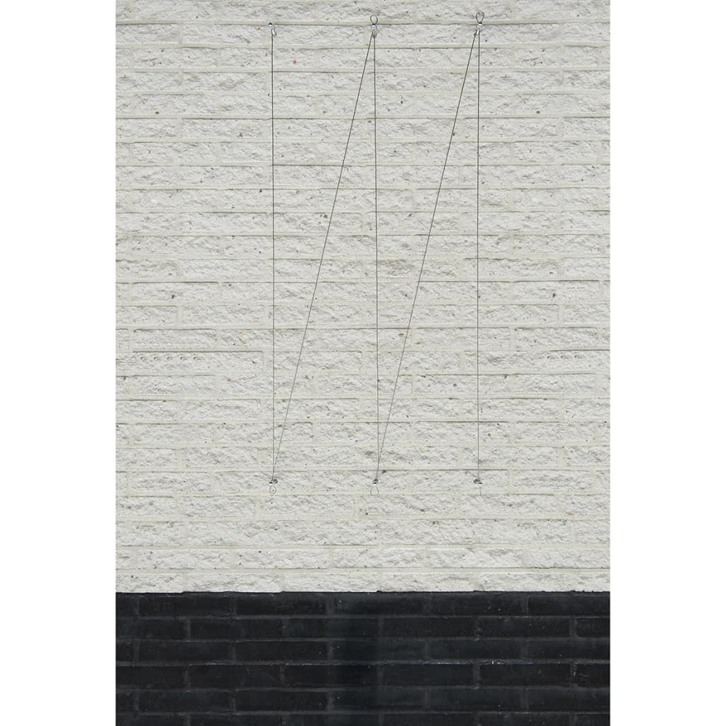 Nature Rankseil-Sets für Kletterpflanzen 2 Stk.