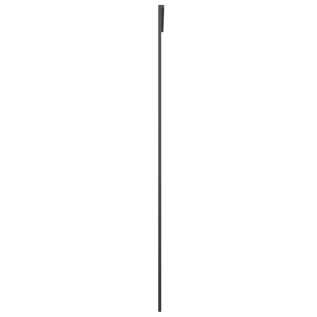 Schiebetür Schwarz 90x205 cm ESG Glas und Aluminium