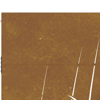 Thumbnail for Gartentor 85x175 cm Cortenstahl Gras-Design