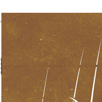 Thumbnail for Gartentor 105x180 cm Cortenstahl Gras-Design