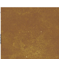 Thumbnail for Gartentor 85x150 cm Cortenstahl
