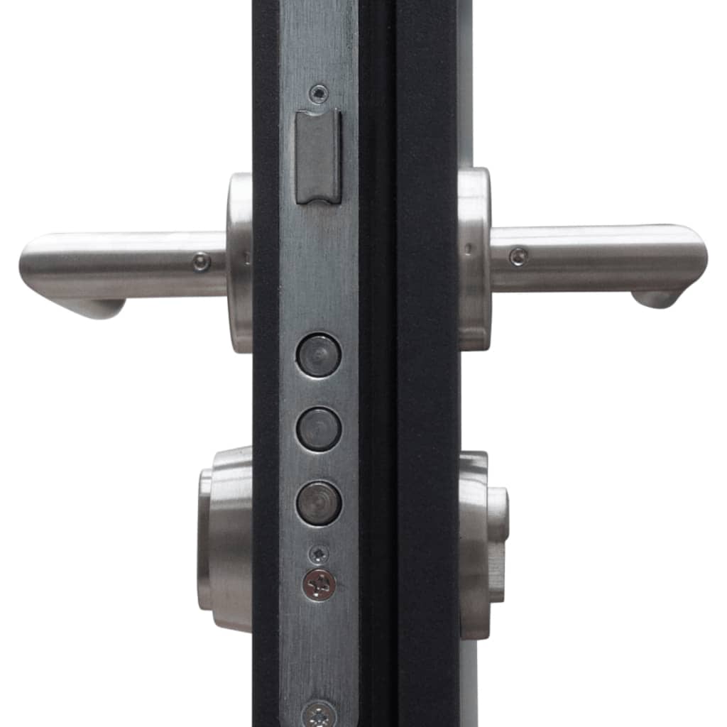 Haustür Anthrazit 100x200 cm Aluminium