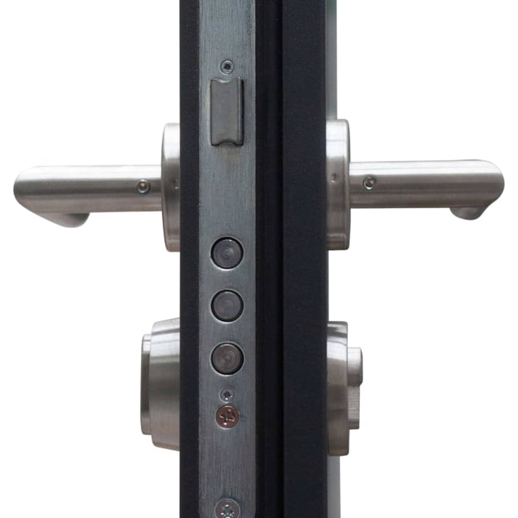 Haustür Anthrazit 90x200 cm Aluminium