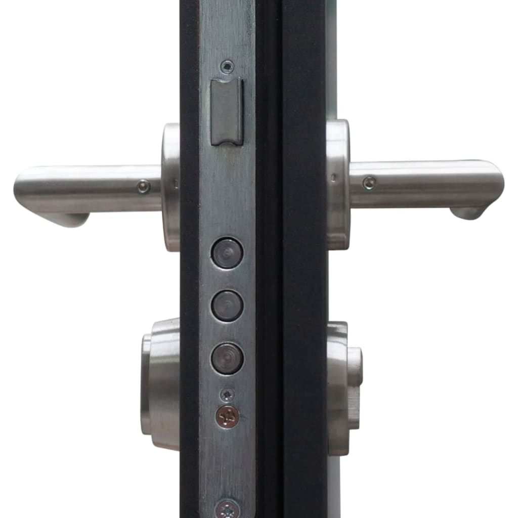 Haustür Anthrazit 100x200 cm Aluminium