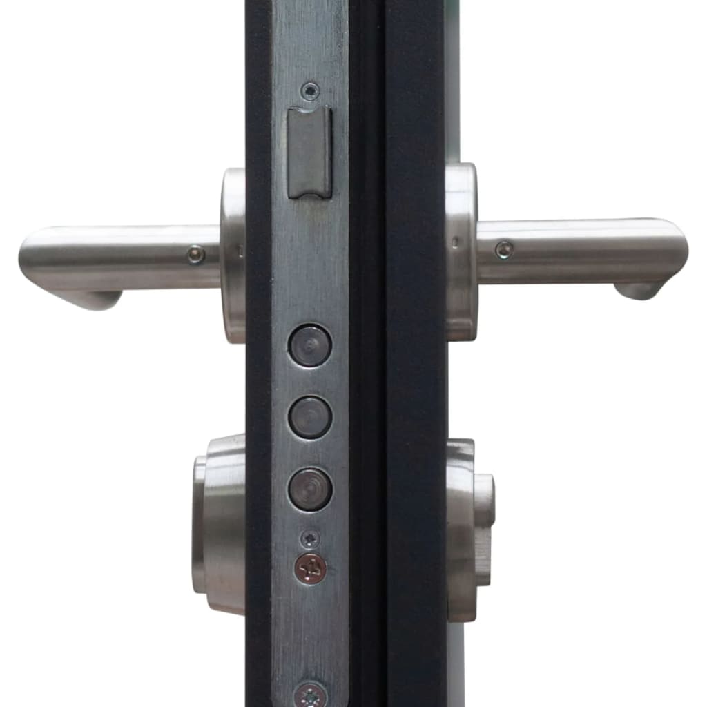 Haustür Anthrazit 110x207,5 cm Aluminium