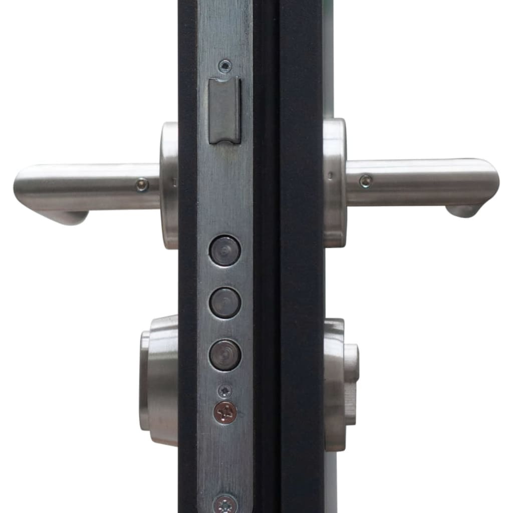 Haustür Anthrazit 90x200 cm Aluminium