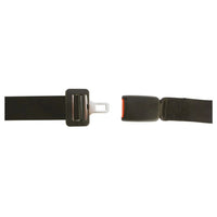 Thumbnail for Carpoint 2-Punkt Sicherheitsgurt Schwarz Verstellbar 1 Seite