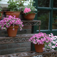 Thumbnail for Esschert Design Blumenetagere Rechteckig BPH33