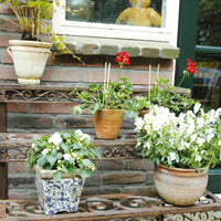 Thumbnail for Esschert Design Blumenetagere Rechteckig BPH33