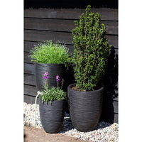 Thumbnail for Capi Blumentopf Nature Rib Elegant Niedrig 36 x 47 cm Schwarz KBLR782