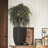 Thumbnail for Capi Blumentopf Nature Rib Elegant Niedrig 46 x 58 cm Schwarz KBLR783