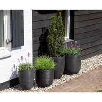 Thumbnail for Capi Blumentopf Nature Rib Elegant Niedrig 46 x 58 cm Schwarz KBLR783