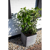 Thumbnail for Capi Blumentopf Nature Rib Quadratisch 40x40 cm Anthrazit KOFZ903
