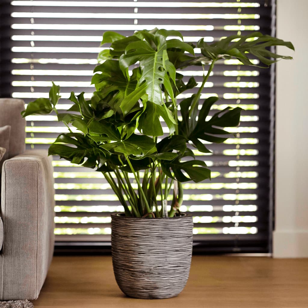 Capi Blumentopf Nature Rib 35x34 cm Anthrazit KOFZ932