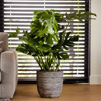 Thumbnail for Capi Blumentopf Nature Rib 35x34 cm Anthrazit KOFZ932