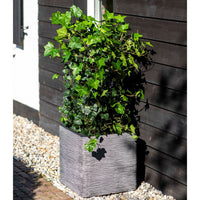 Thumbnail for Capi Blumentopf Nature Rib Quadratisch 50 x 50 cm Anthrazit