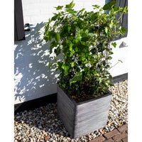 Thumbnail for Capi Blumentopf Nature Rib Quadratisch 50 x 50 cm Anthrazit