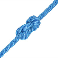 Thumbnail for Polypropylenseil 6 mm 500 m Blau