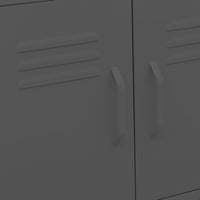 Thumbnail for Lagerschrank Anthrazit 60x35x56 cm Stahl