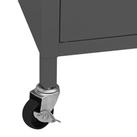 Thumbnail for Lagerschrank Anthrazit 60x35x56 cm Stahl