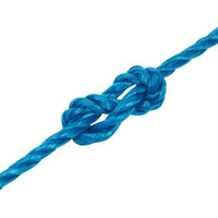 Thumbnail for Arbeitsseil Blau 6 mm 250 m Polypropylen
