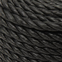 Thumbnail for Arbeitsseil Schwarz 10 mm 100 m Polypropylen