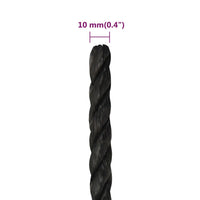 Thumbnail for Arbeitsseil Schwarz 10 mm 100 m Polypropylen