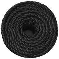 Thumbnail for Arbeitsseil Schwarz 10 mm 250 m Polypropylen