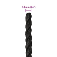Thumbnail for Arbeitsseil Schwarz 10 mm 250 m Polypropylen
