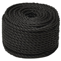 Thumbnail for Arbeitsseil Schwarz 10 mm 500 m Polypropylen