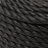 Thumbnail for Arbeitsseil Schwarz 10 mm 500 m Polypropylen