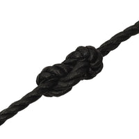 Thumbnail for Arbeitsseil Schwarz 10 mm 500 m Polypropylen