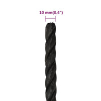 Thumbnail for Arbeitsseil Schwarz 10 mm 500 m Polypropylen