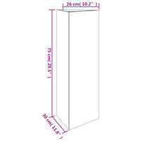 Thumbnail for Pflanzkübel 30x26x75 cm Cortenstahl