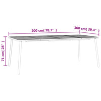 Thumbnail for Gartentisch Anthrazit 200x100x71 cm Stahl