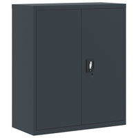 Thumbnail for Aktenschrank Anthrazit 90x40x145 cm Stahl