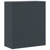 Thumbnail for Aktenschrank Anthrazit 90x40x145 cm Stahl