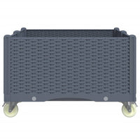 Thumbnail for Pflanzkasten mit Rollen Grau 100x80x54 cm PP