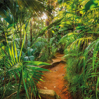 Thumbnail for Komar Fototapete Jungle Trail 368×254 cm