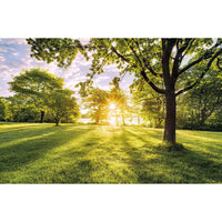 Thumbnail for Komar Fototapete Golden Moment 400x250 cm