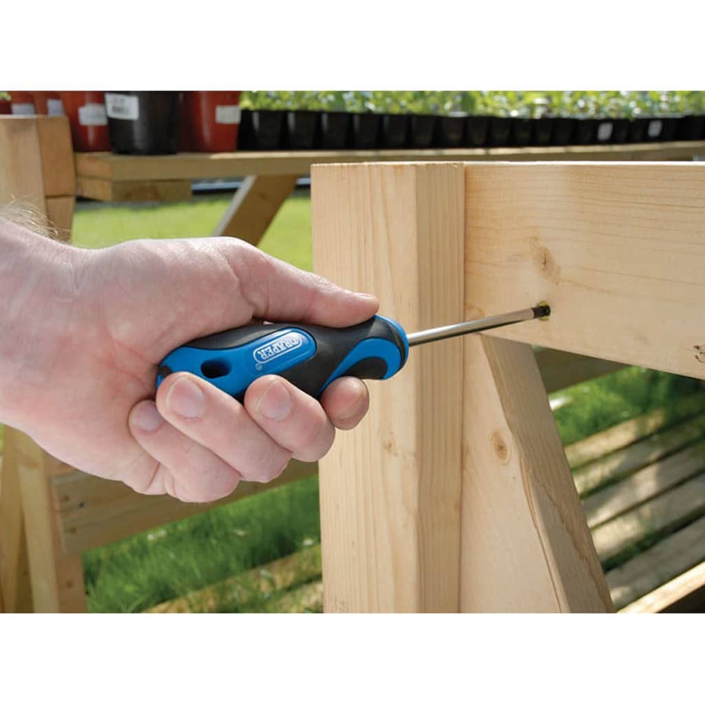 Draper Tools Schraubendrehersatz 19-tlg. Blau 09548