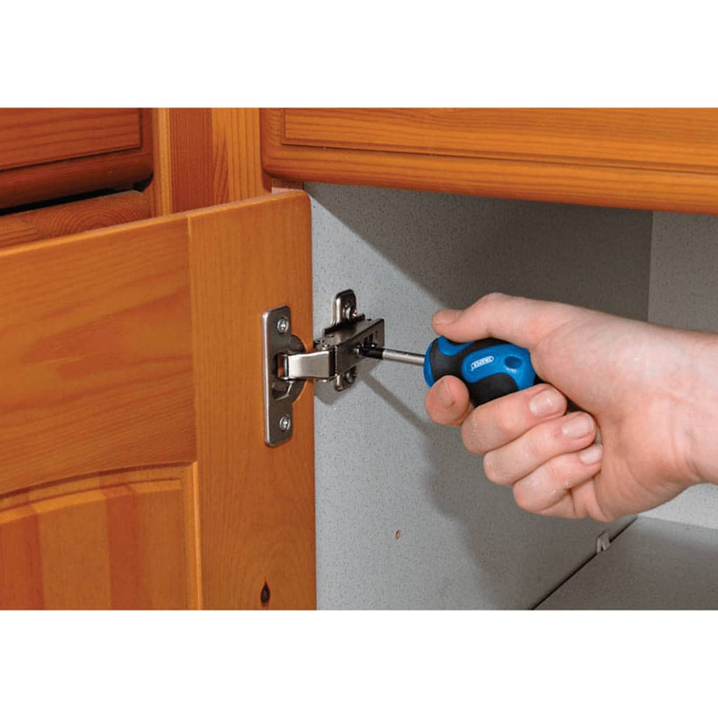 Draper Tools Schraubendrehersatz 19-tlg. Blau 09548